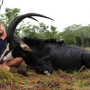 Sable Hunting Mozambique