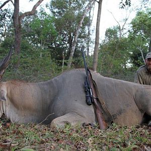 Hunting Eland in Mozambique