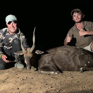 Bushbuck Hunt South Africa