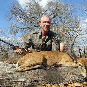 Mozambique Hunting Duiker