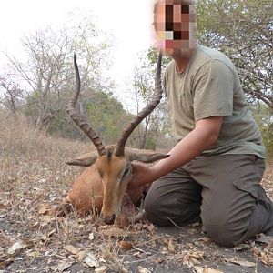 Hunt Impala in Mozambique