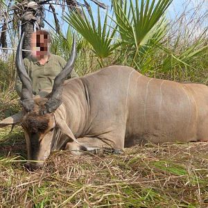 Eland Hunting Mozambique