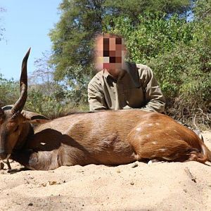 Mozambique Hunt Bushbuck