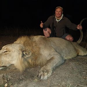 Mozambique Hunting Lion