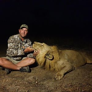 Hunting Lion in Mozambique