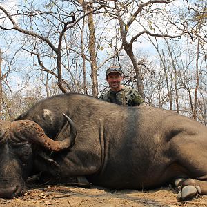 Buffalo Hunting Mozambique