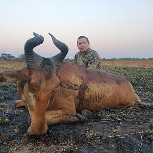 Hunting Lichtenstein's Hartebeest in Mozambique