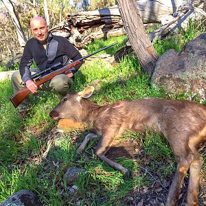 416 Weatherby magnum load testing