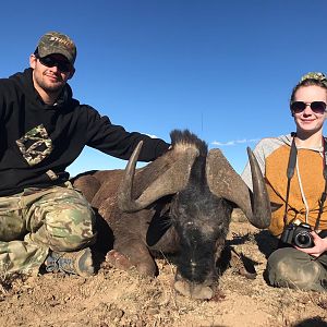 South Africa Hunt Black Wildebeest