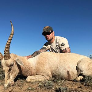 Hunting White Blesbok in South Africa