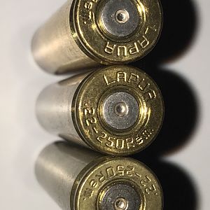 Lapua .22-250 brass