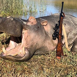 Hippo Hunting South Africa