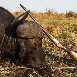 Mozambique Hunting Cape Buffalo