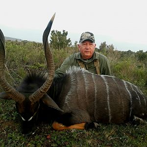 South Africa Hunt Nyala