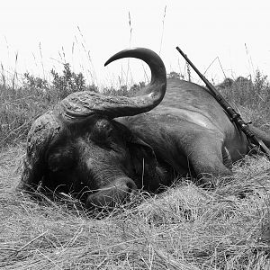 Hunt Cape Buffalo in Tanzania