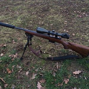 CZ527 American Rifle in .223 Rem