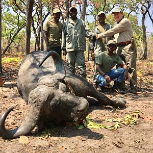 Tanzania Hunt Cape Buffalo