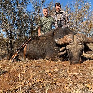 Buffalo Hunting South Africa