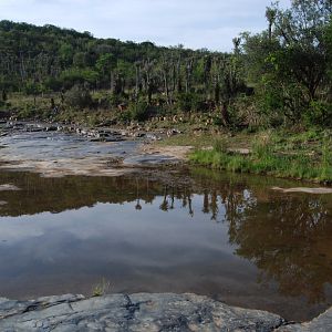 South Africa Hunting Area