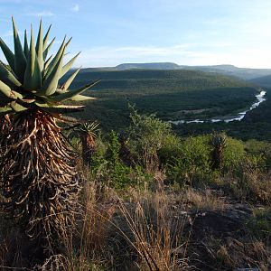 Hunt Area in South Africa