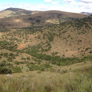 South Africa Hunting Area