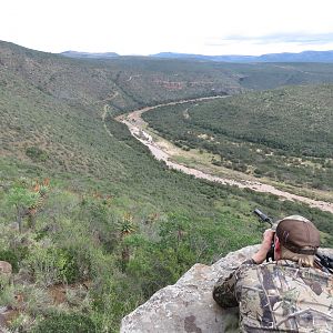 Glassing Game & Hunting South Africa