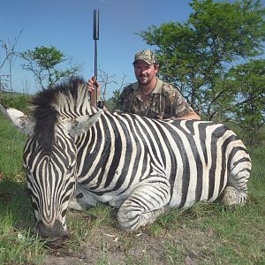 Hunt Burchell's Plain Zebra