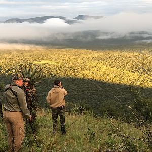 Glassing Game South Africa