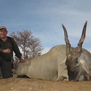 Eland Hunt Namibia