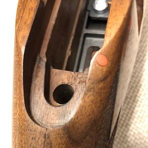 Sako 85 Hunter walnut stock - crack visible