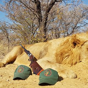 Hunting Lion in South Africa