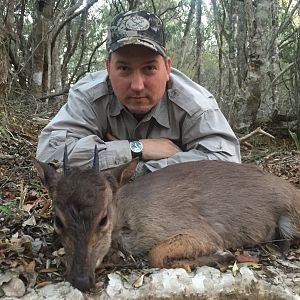 Blue Duiker Hunting South Africa