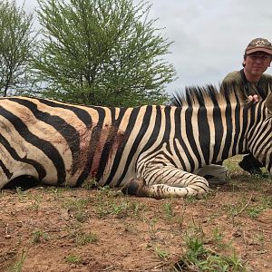 Hunting Burchell's Plain Zebra in South Africa