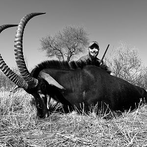 Hunting Sable in South Africa