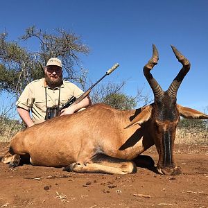 Red Hartebeest Hunting South Africa