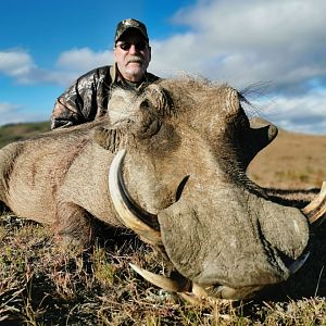 South Africa Hunt Warthog