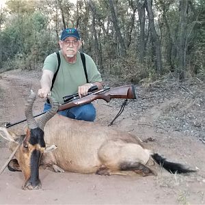 Hunt Red Hartebeest in South Africa