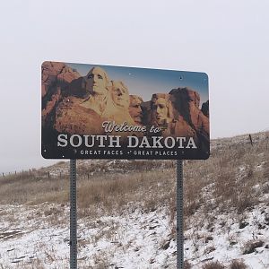 Hunting American Bison in South Dakota USA