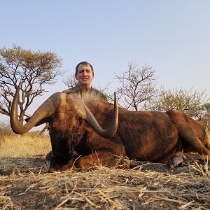 Black Wildebeest Hunting South Africa