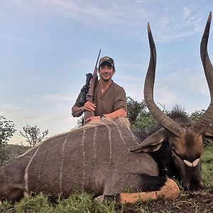 South Africa Hunt Nyala