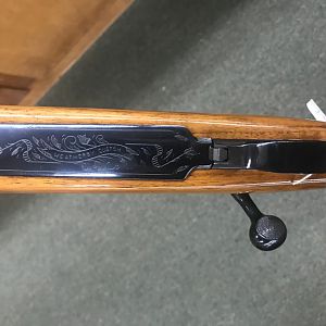 460 WBY Weatherby Custom Rifle