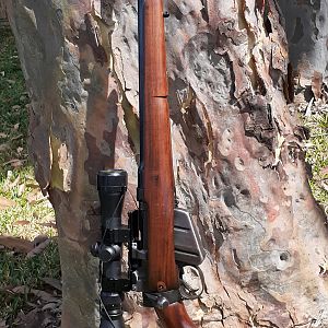 35 Whelan Rifle