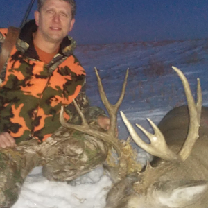 Canada Hunt Mule Deer