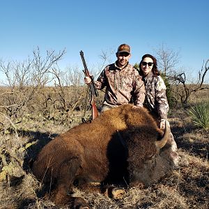 Texas USA Hunt Bison