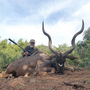 Kudu Hunt South Africa