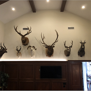 Trophy Room