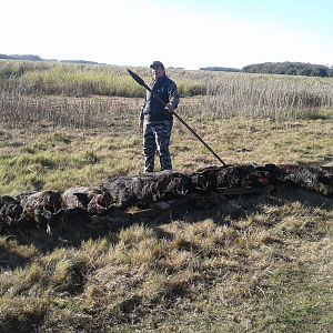 Argentina Spear Hunt Wild Boar