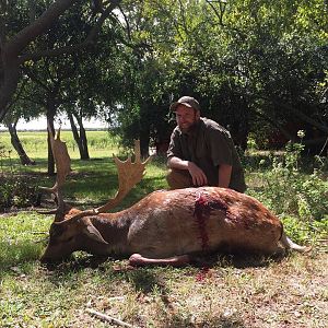 Hunt Fallow Deer in Argentina