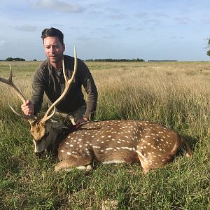 Hunting Axis Deer in Argentina