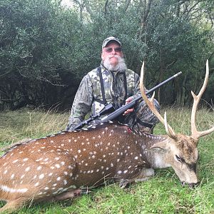 Argentina Hunt Axis Deer